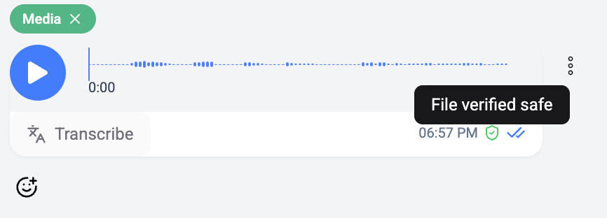 Audio message with transcription