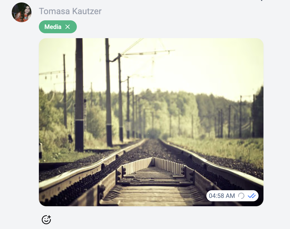 Image viewer