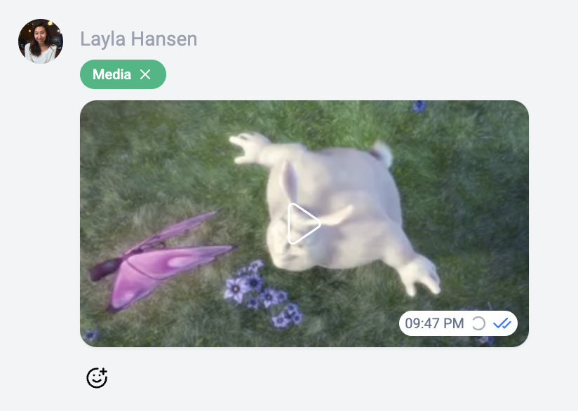 Media message gallery