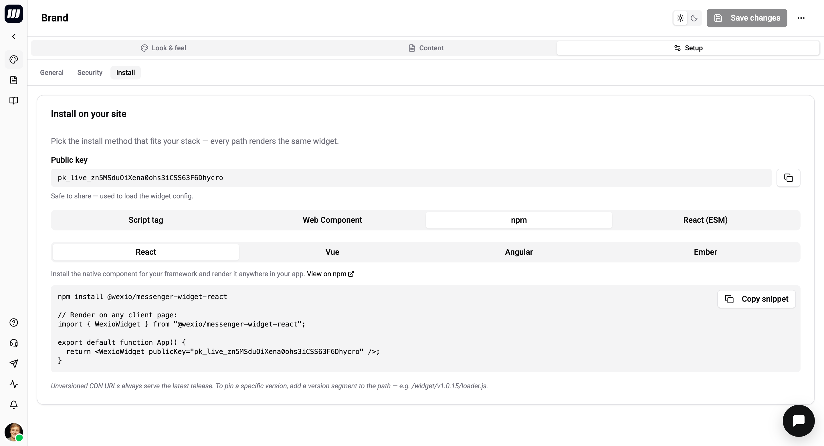Setup → Install sub-tab with the public key and embed snippets